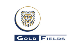 Gold Fields